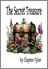 New Book - The Secret Treasure
