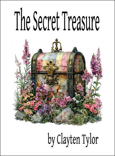 The Secret Treasure by Clayten Tylor - Book front Cover