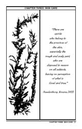 seaweed skin care jelly