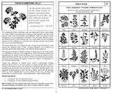 Venus Herbs