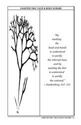 homemade seaweed facial salt scrubs