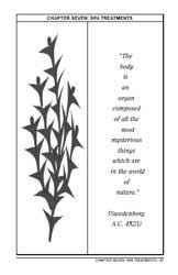 Kelp seaweed for the beauty serum