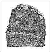 Seaweed desserts - Peanut Butter & Chocolate Seaweed Cake.